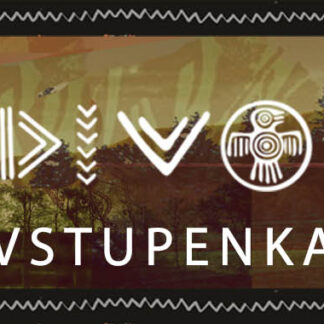 Testovací vstupenka